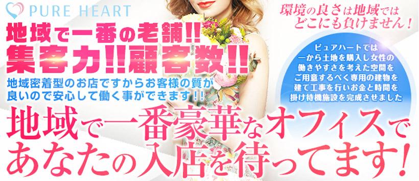 ピュアハートの求人