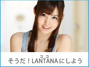 業界ナンバー1のサポート、還元率!