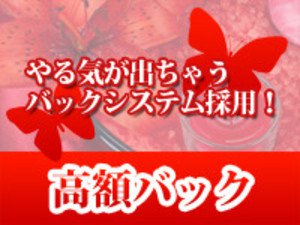 やる気が出ちゃう高額バックシステム採用!