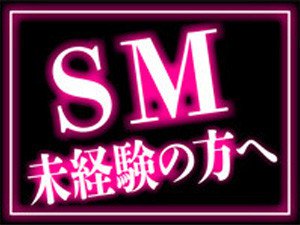 SM未経験の方へ