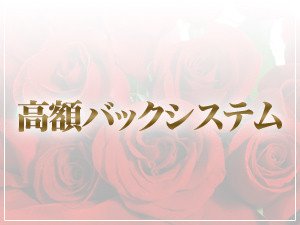 高額バックシステム