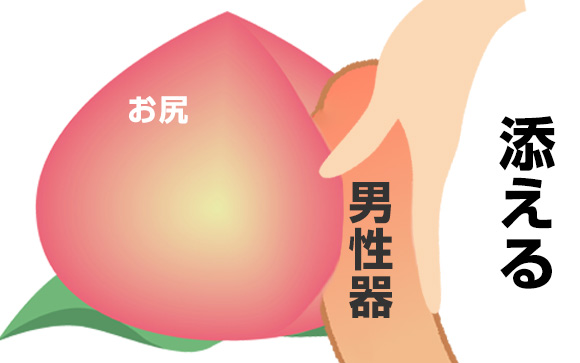 男性器を自分のお尻の割れ目に添わせる