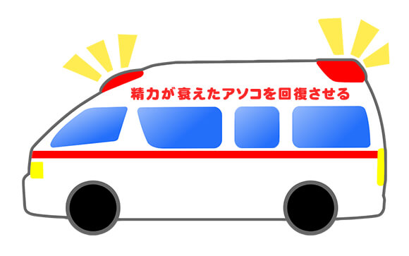 精力が衰えたアソコを回復させる