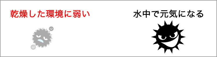 【トリコモナスの性質】