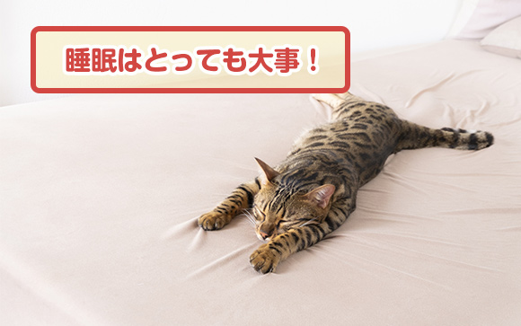 疲れを貯めないためには、なによりも睡眠がすごく大事！