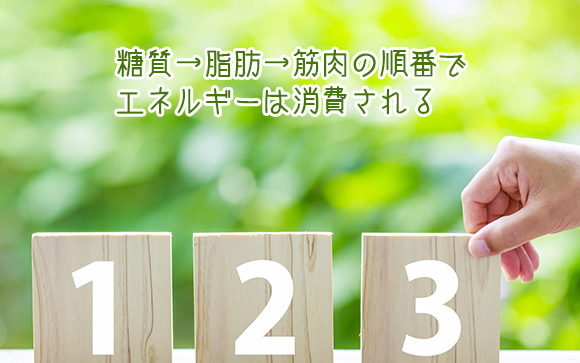 【糖質→脂肪→筋肉の順番で消費される】