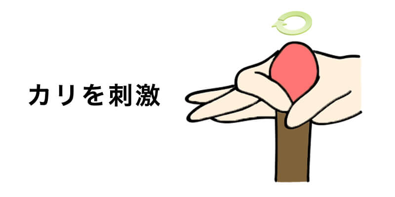 03：カリをくる～っと刺激