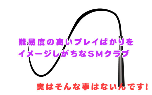 SMクラブは4つに分類される