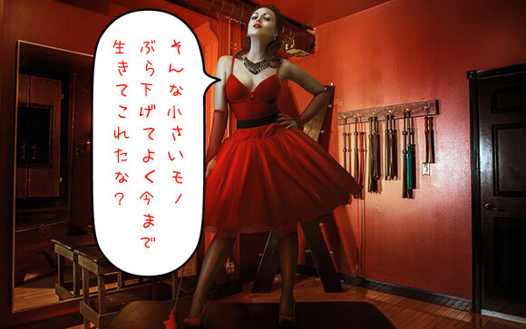 女王様 / S嬢のお仕事内容