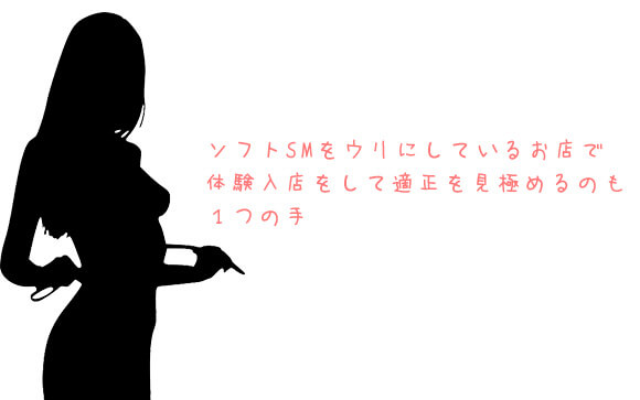 【私でも働ける？】SMクラブ適性を確認