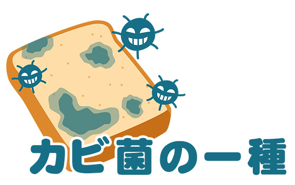 そもそもカンジダっていったいどんな病気なの？