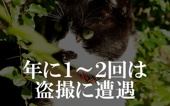 年に１～２回は盗撮に遭遇