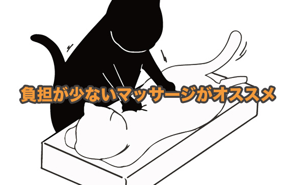 軽いマッサージをしてあげる