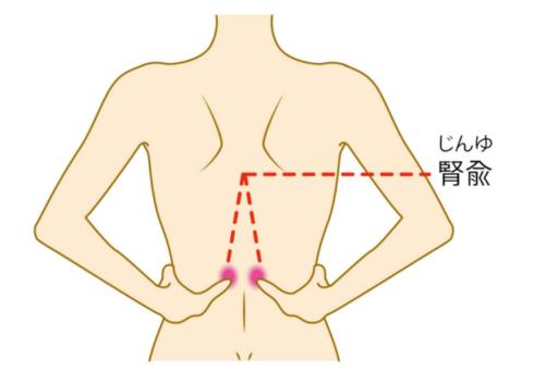 腎愈  --じんゆ--