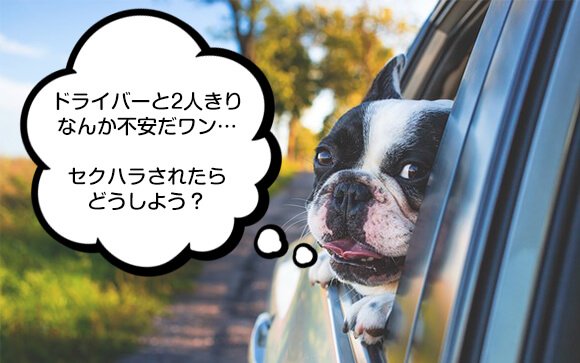 デリヘルドライバーの車に乗るのは安全？大丈夫！心配無用です