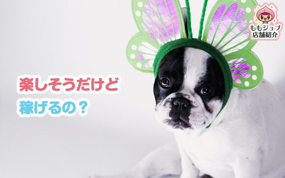 ハードサービスはできなくてもバッチリ稼げます！