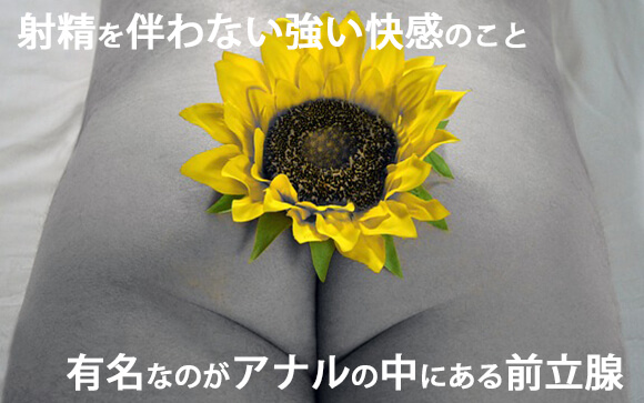 ドライオーガズムとは