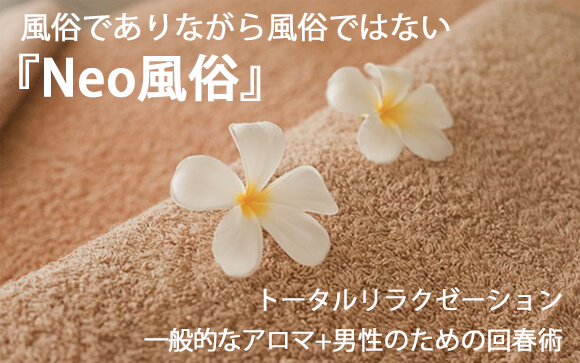 どんなお店
