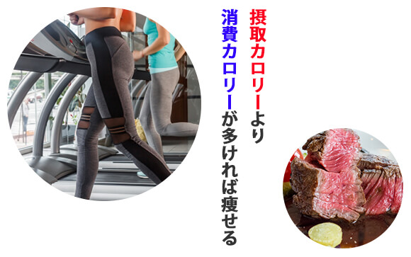 体重を減らすための原則　消費カロリー＞摂取カロリー
