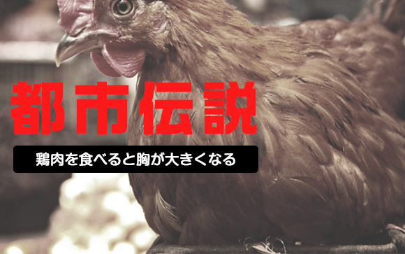 「でも鶏肉食べると巨乳になるんでしょ？」…えっ？