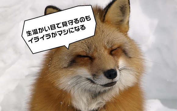 ウザさはその人の泣き所