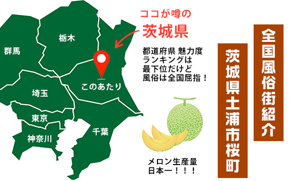 北関東最大の風俗街！茨城の土浦・桜町は働きやすい？