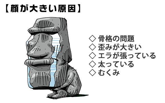 顔が大きい原因