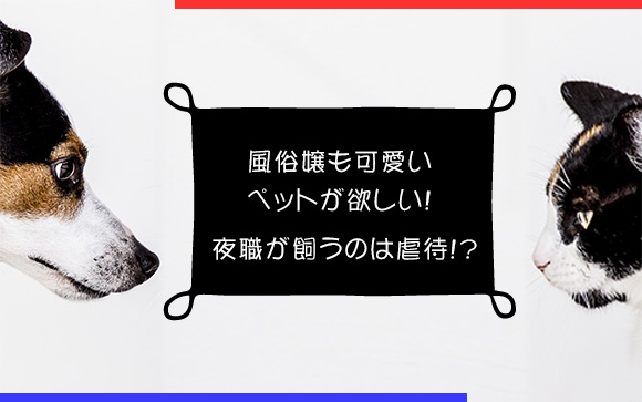風俗嬢も可愛いペットが欲しい！夜職が飼うのは虐待?!