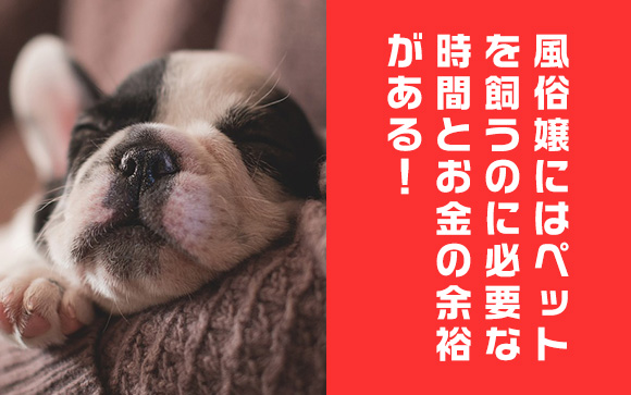 風俗嬢はキャバ嬢やホストとは違う