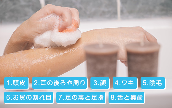しっかり洗うべき場所