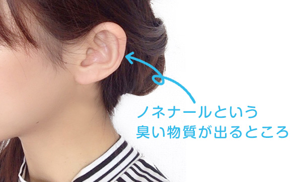 耳の後ろや周り