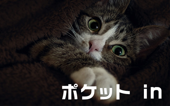 相手のポケットに手を入れがたる