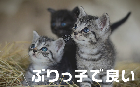 斜め下から