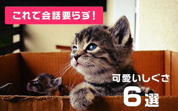 可愛いしぐさで男性をドキドキさせちゃおう