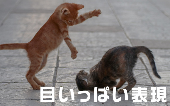 共感を表情や仕草で表す