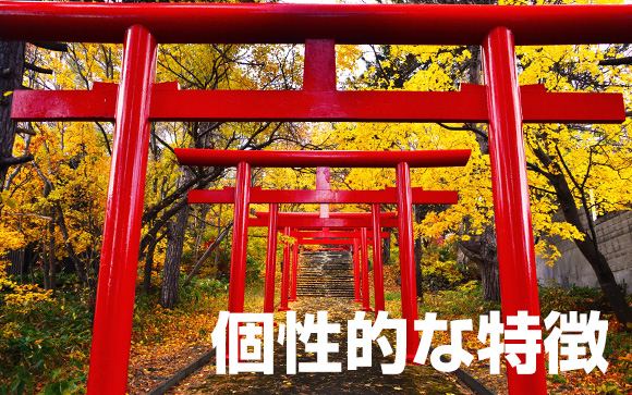 アキバ神社さんってどんなお店だった？