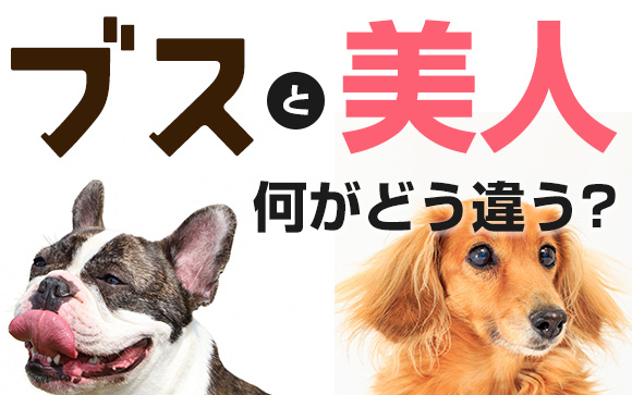 美人とブスの違い
