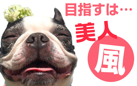 美人と美人風の違い
