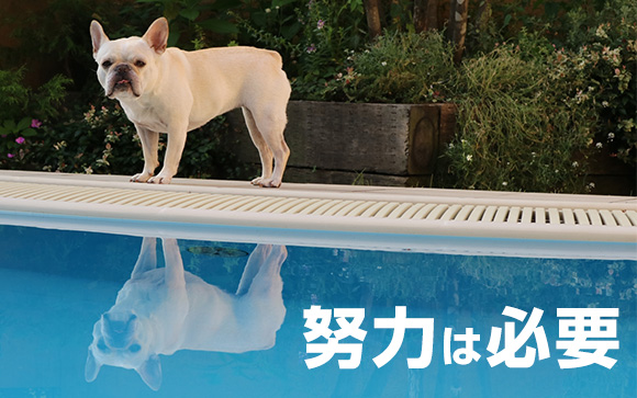 健康的なスタイルに