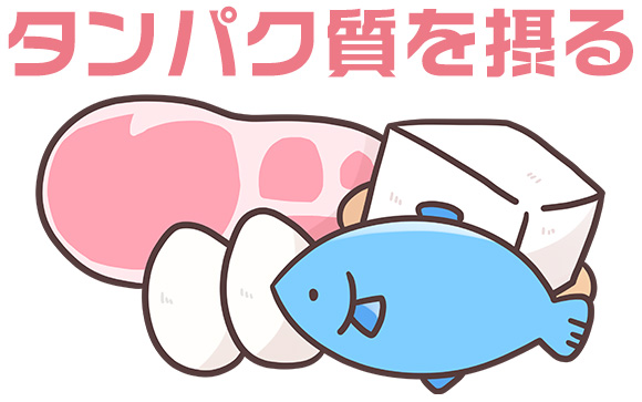 ダイエットはお休みしてタンパク質を摂る