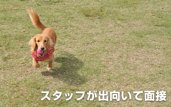 出張面接もある