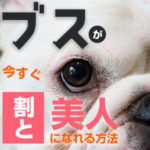 「ブス」が今すぐ「割と美人」になれる方法！あるけど知りたい？（後編）