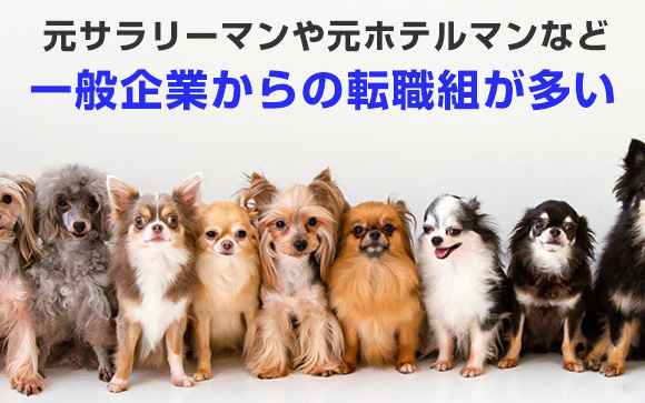 スタッフも怖くない
