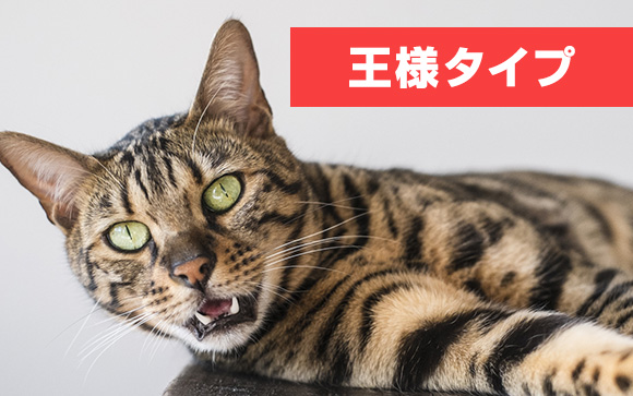 もっと褒めて！の、王様派