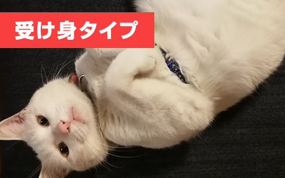 自分の意思なし、お任せ派