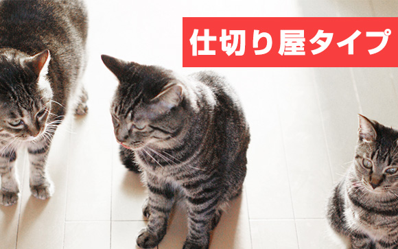 全てを仕切りたがる、コントロール派