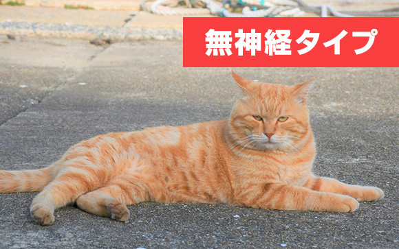 損するのは耐えられない、ケチ派