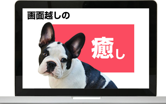 ライブチャットのチャットレディがこれからチャンス
