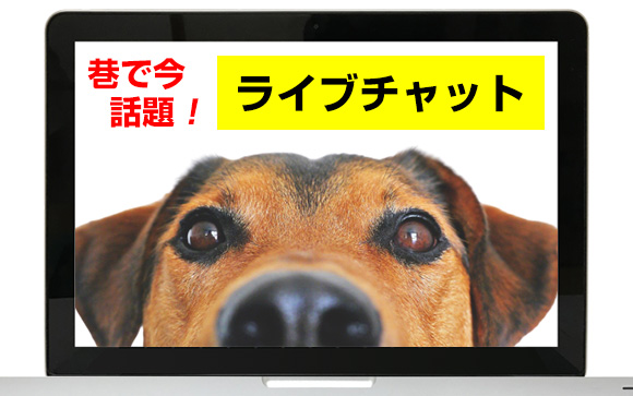 在宅で稼げる仕事ない？楽しめることない？