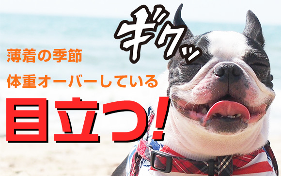 コロナ太りで夏目前